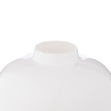 Sophia Glass Vase